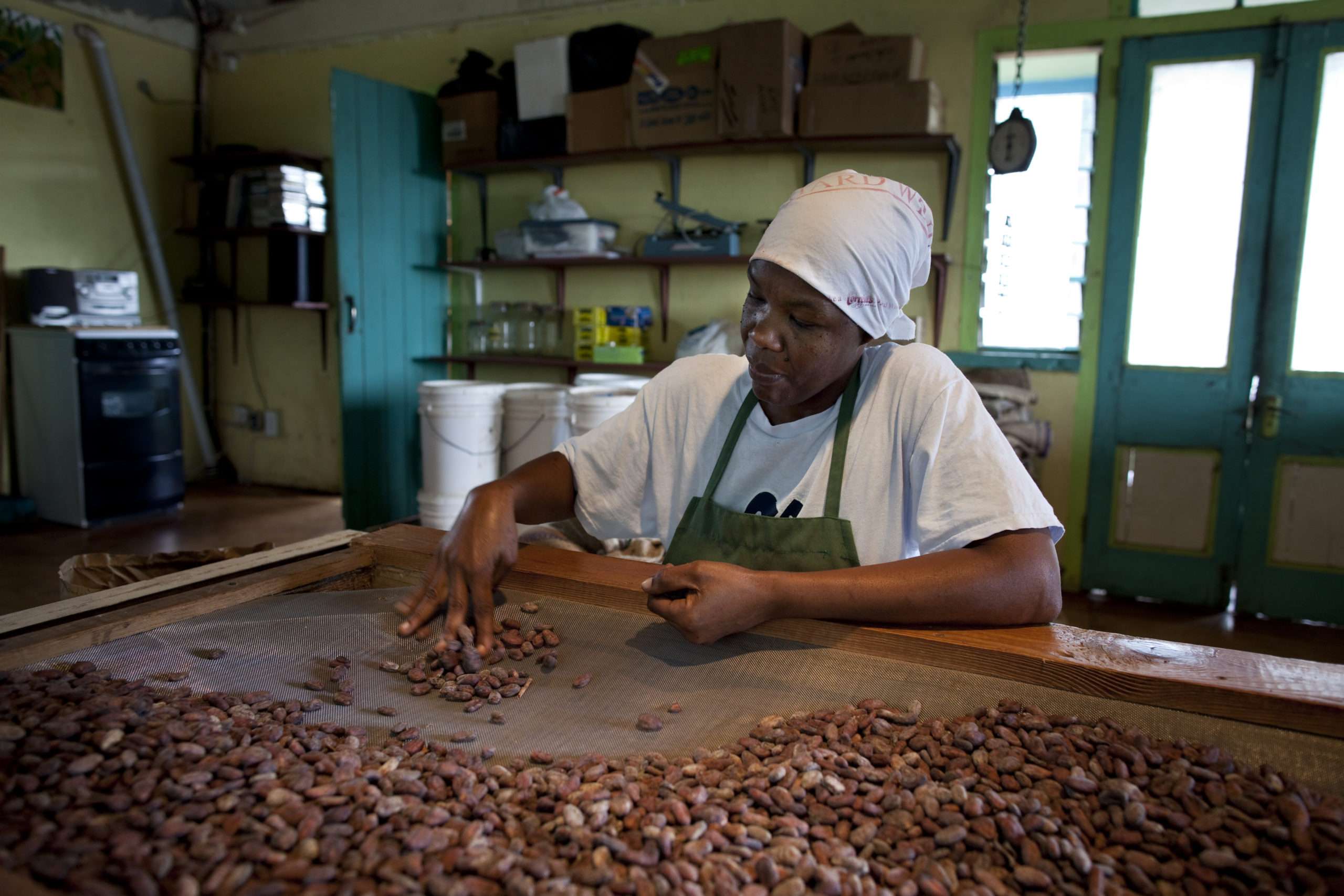 Bean sorting